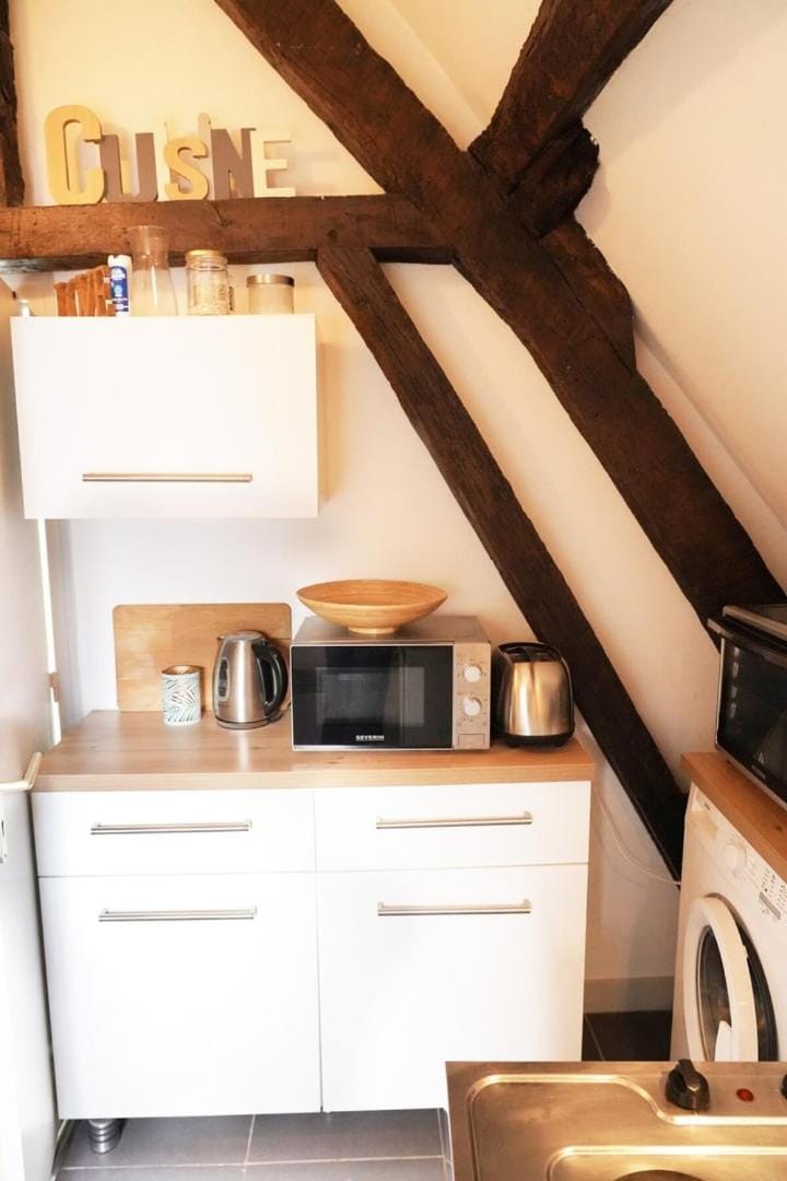Le Petit Chartrain Apartment in Chartres