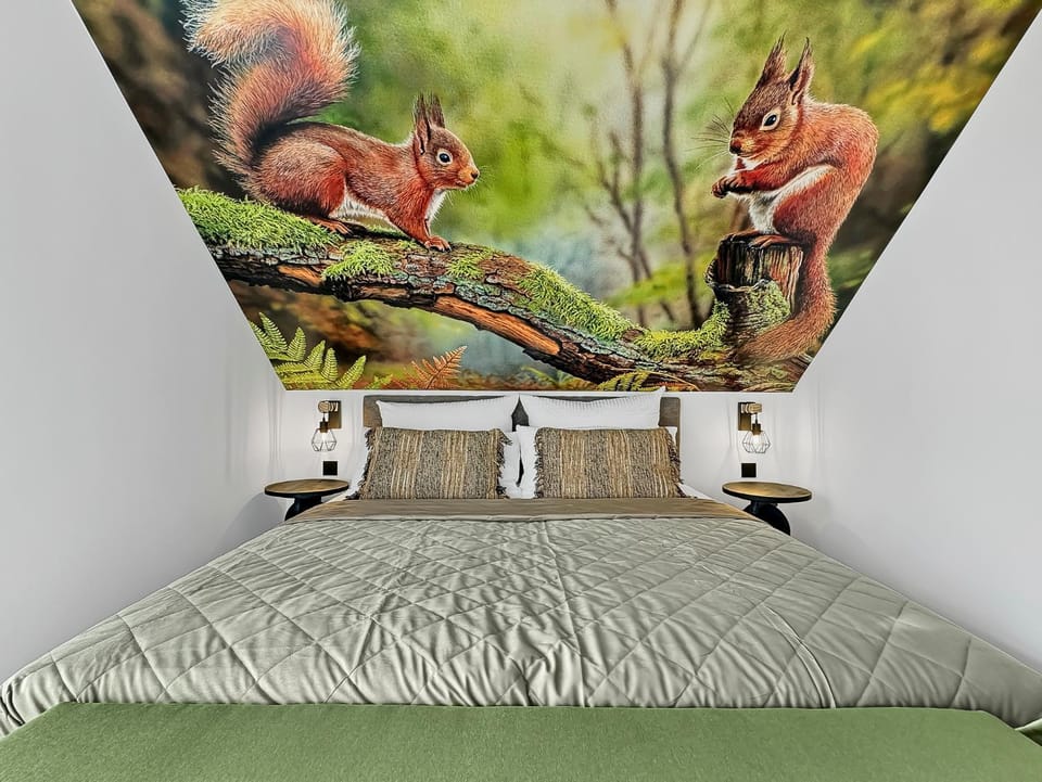 Bed, Photo of the whole room, Bedroom