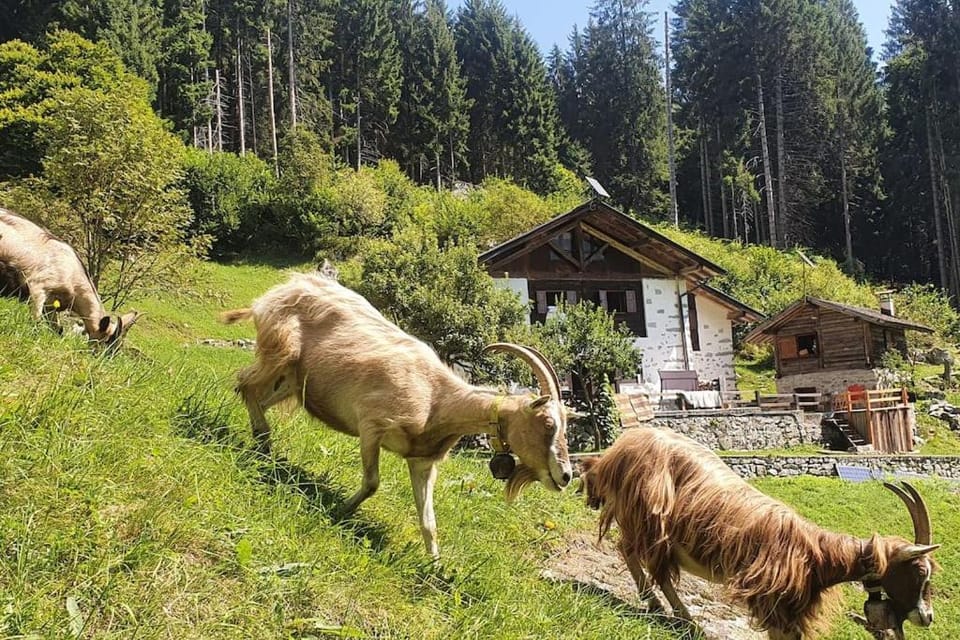 Baita - Chalet Nagalù Chalet in Province of Brescia