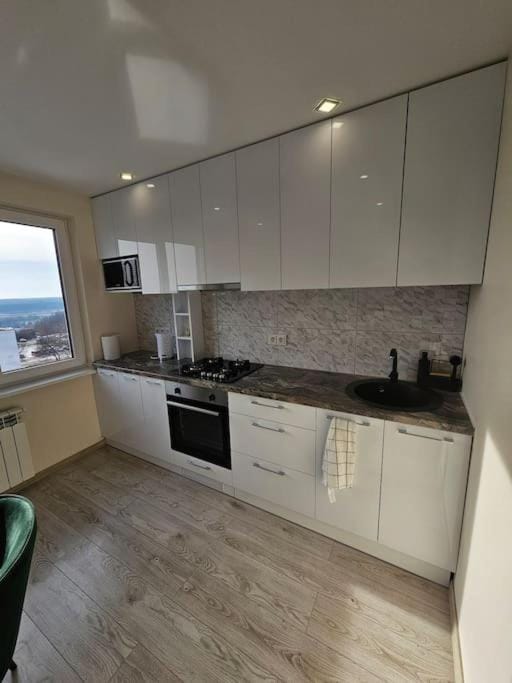 Kitchen or kitchenette, minibar, pet friendly, stove