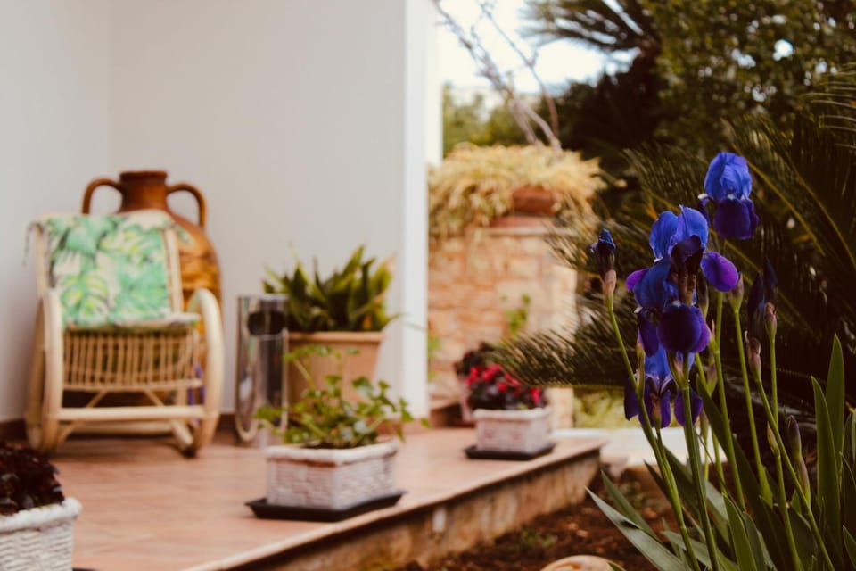 Spring, Garden