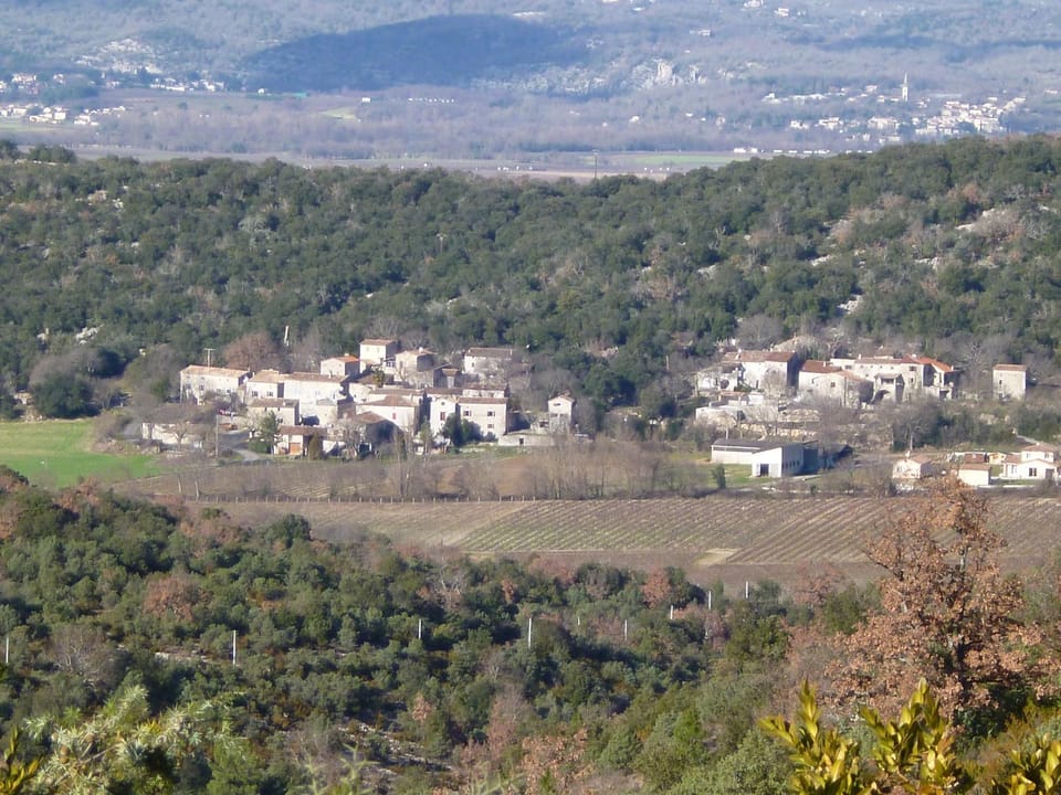 Natural landscape