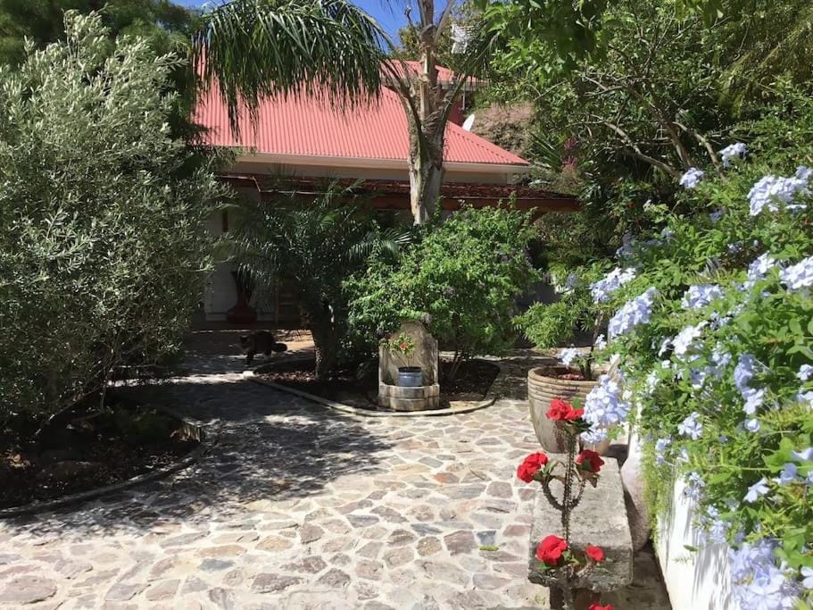 VILLA APOTHEMA meublé de tourisme 4 Etoiles Villa in Bouillante