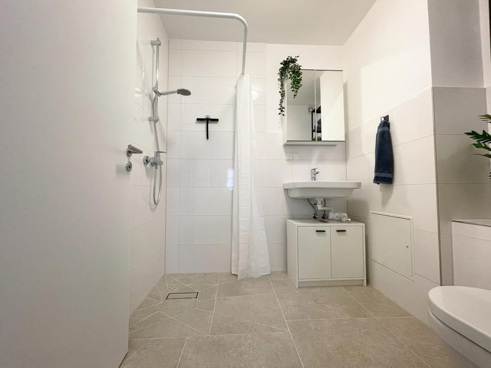 Shower, Toilet, Bathroom, towels