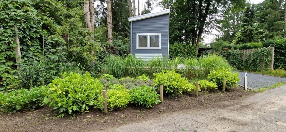Garden, Garden view, Garden view