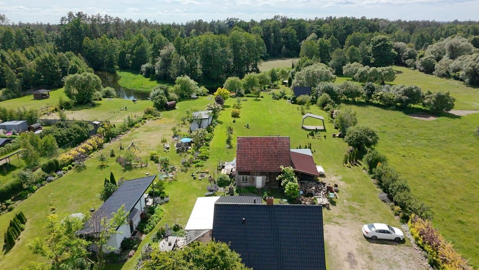 Day, Bird's eye view, Garden view