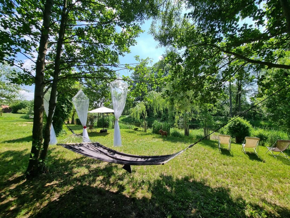Day, Natural landscape, Garden, Garden view, River view, sunbed