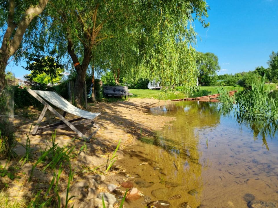 Day, Natural landscape, Beach, River view