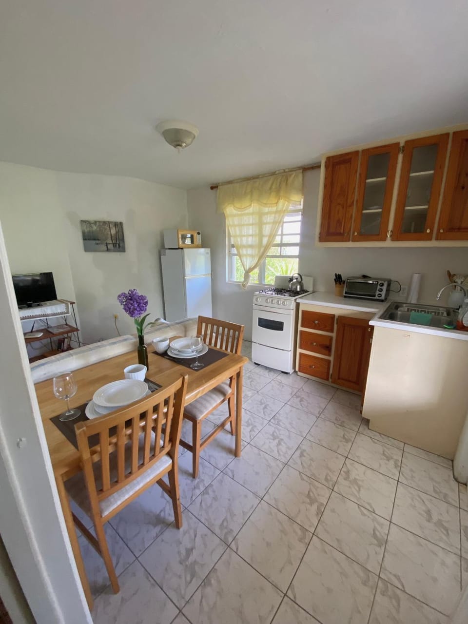 Coconut house Charlestown nevis Apartment in Leeward Islands