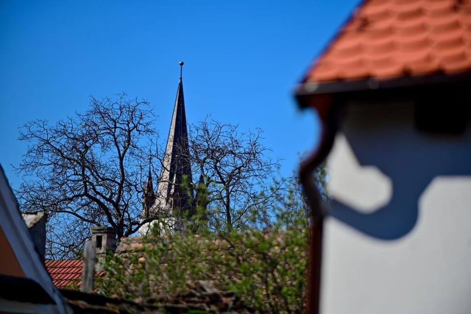 FLH - Casa Doris House in Sibiu