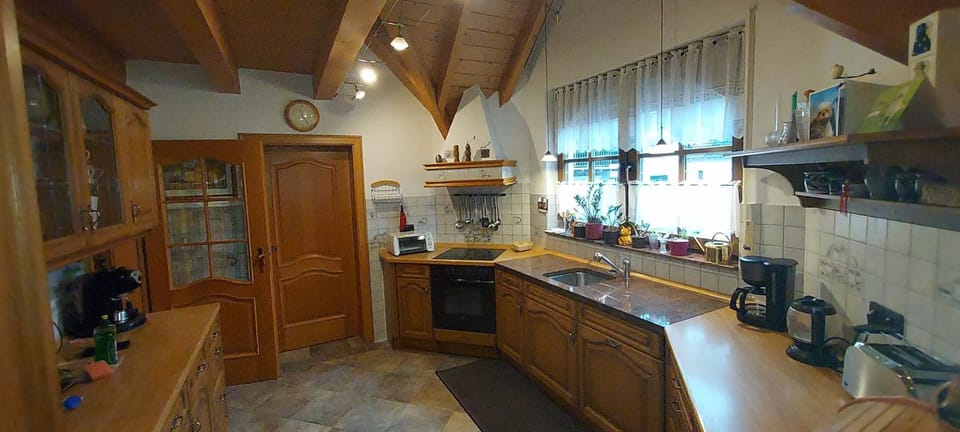 Kitchen or kitchenette, dishwasher, minibar, stove