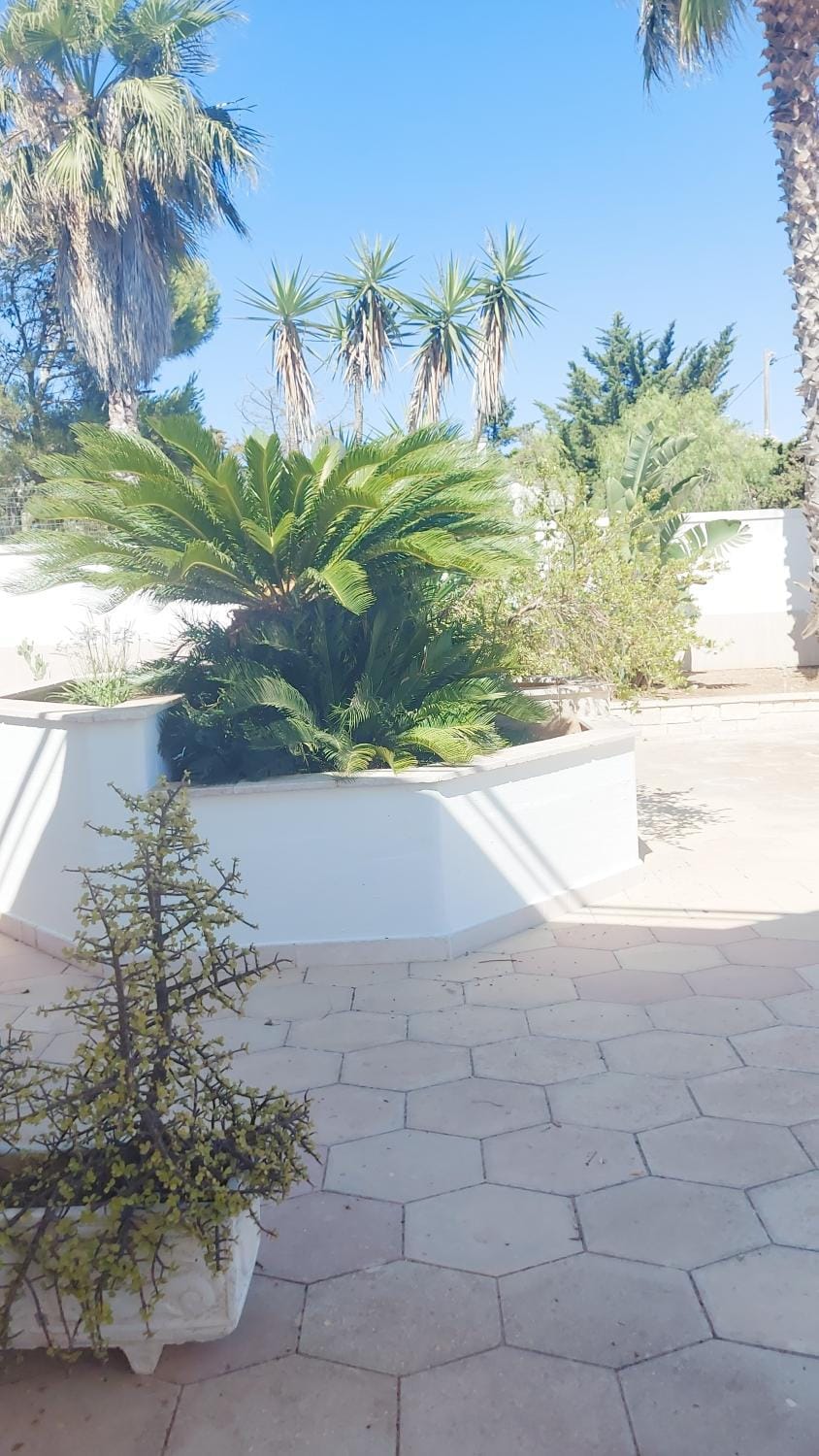 Villa Alessandra Lecce mare Villa in Apulia