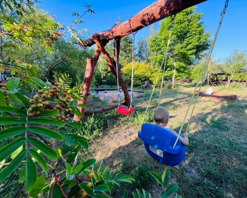 Day, Natural landscape, Children play ground, Garden, Garden view, children