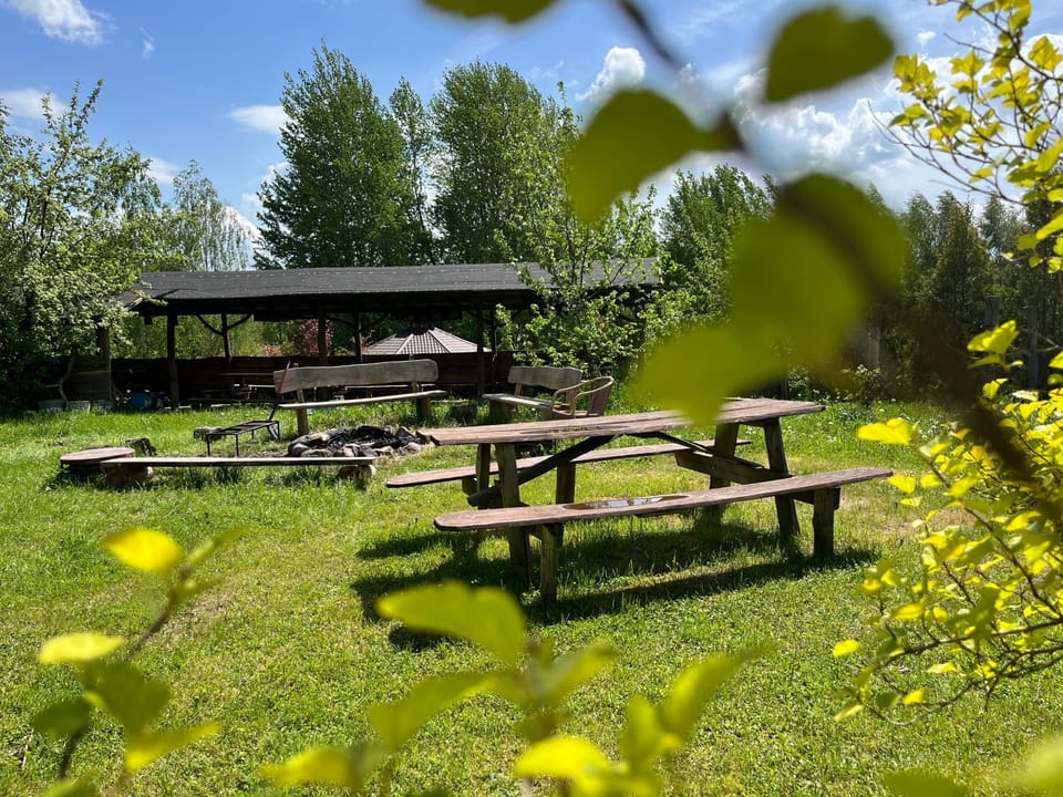 Spring, Day, Natural landscape, Garden, Garden view