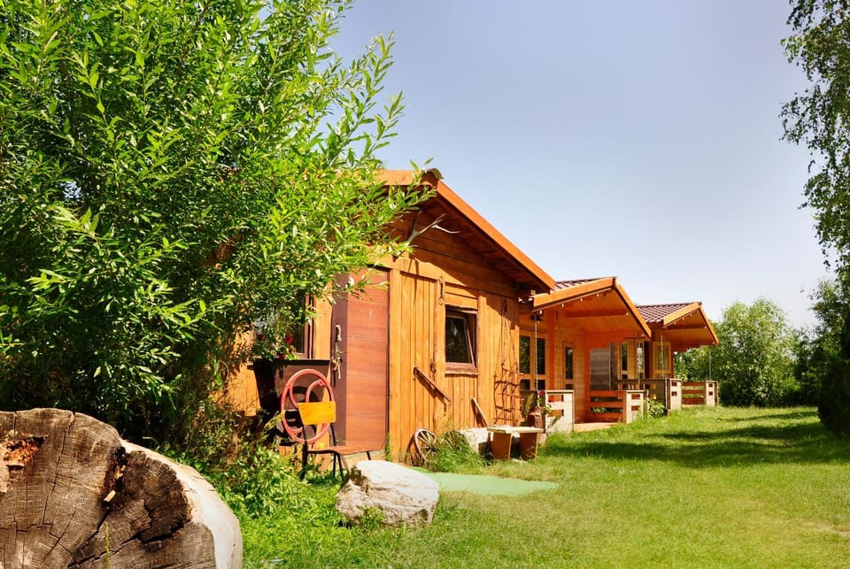 Property building, Spring, Day, Natural landscape, Garden