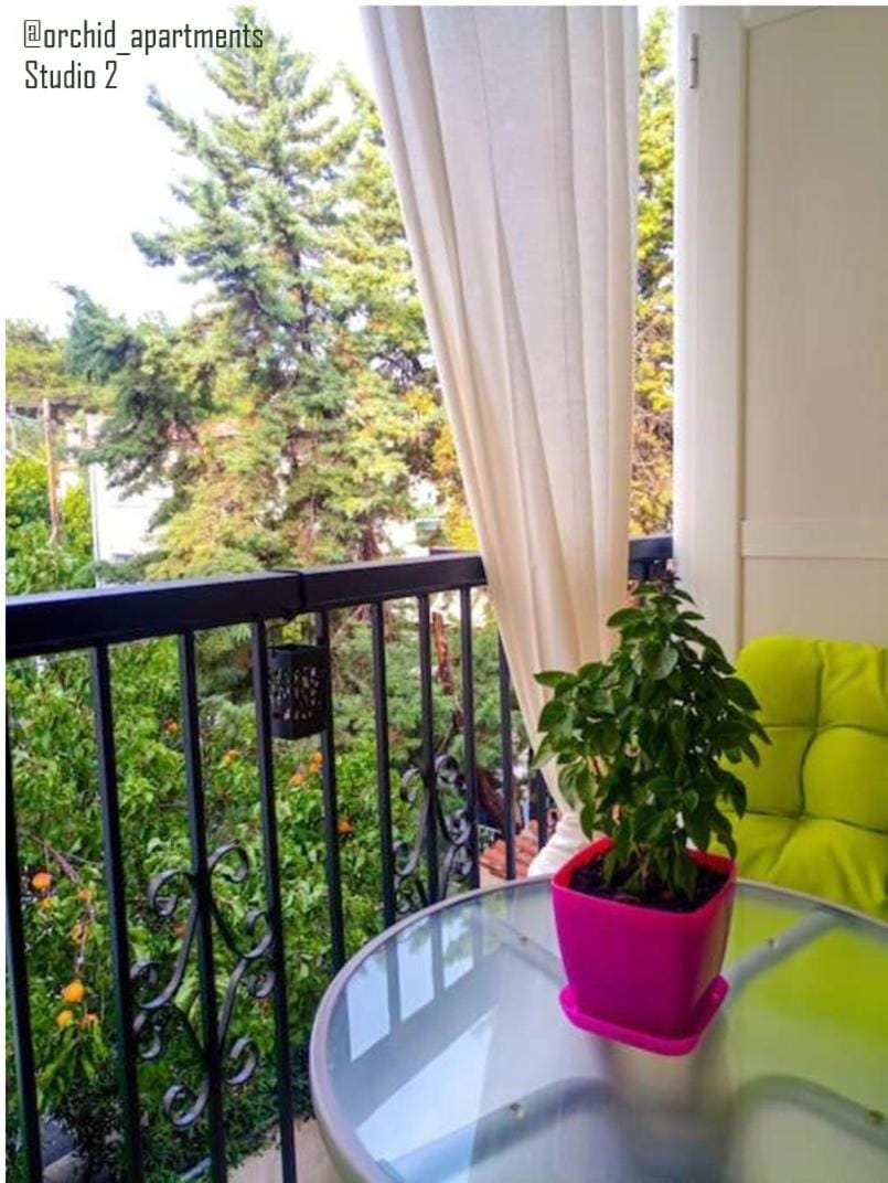 Orchid Apartments Apartment in Halkidiki