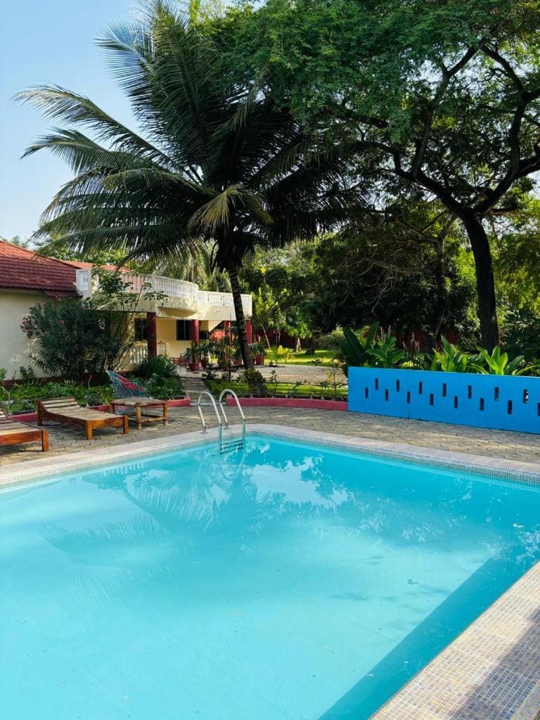Day, Garden, Pool view, Swimming pool, sunbed