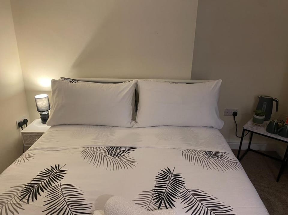 Prince of wales pub and accommodation Inn in Llangollen