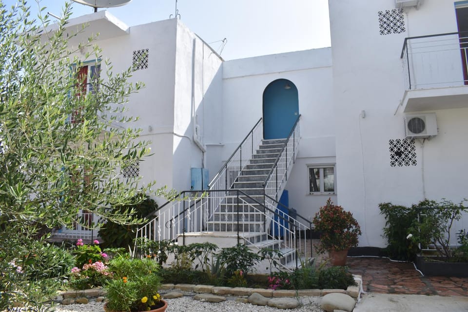 Property building, Day