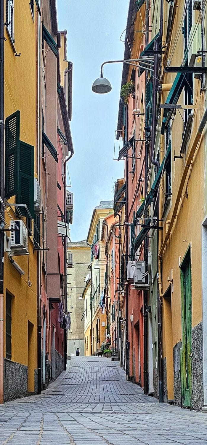 Neighbourhood, Street view