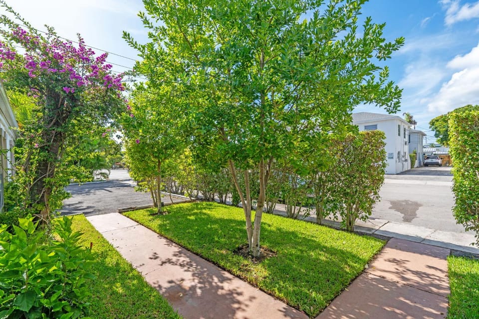 Spring, Garden view