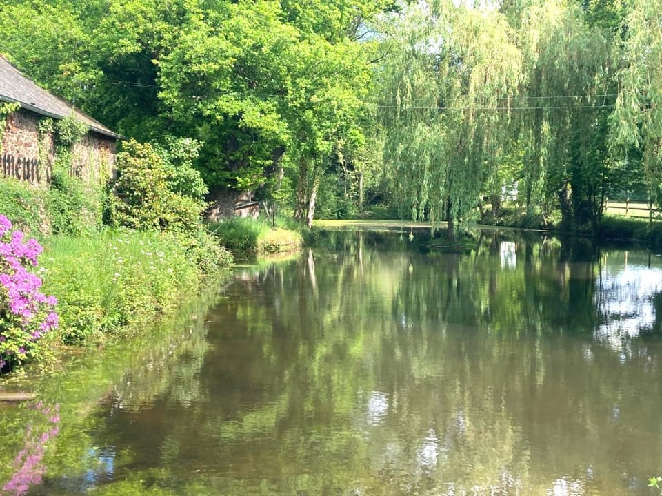 La demeure romantique Bed and Breakfast in Brittany