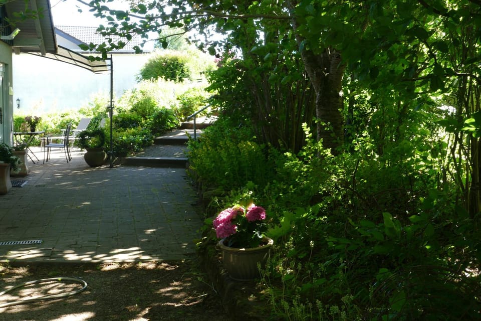 Day, Garden, Garden view