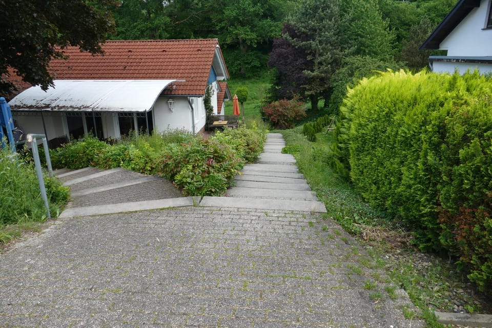 Property building, Garden, Garden view