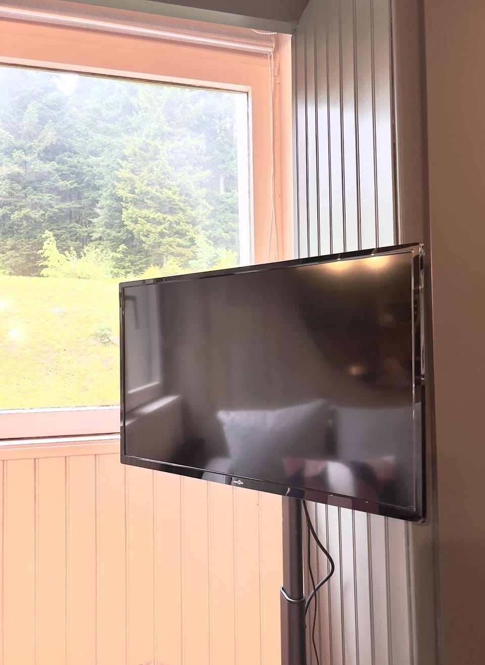 TV and multimedia