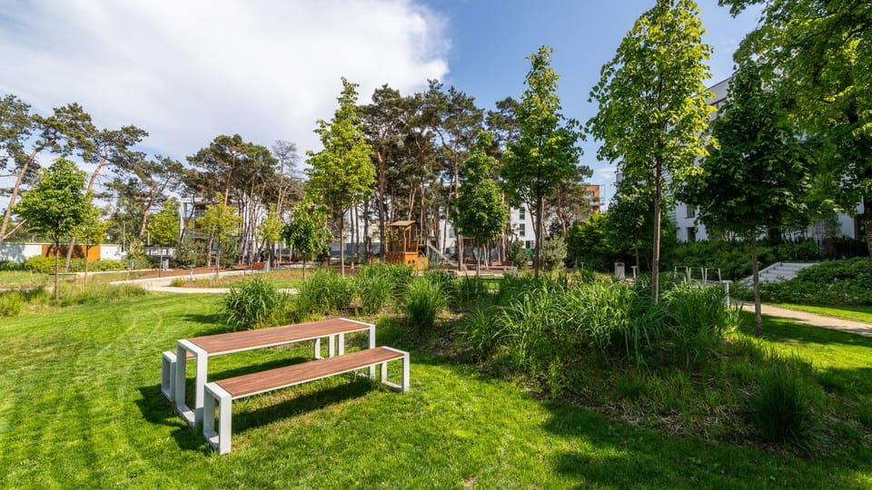 Spring, Day, Natural landscape, Garden, Garden view
