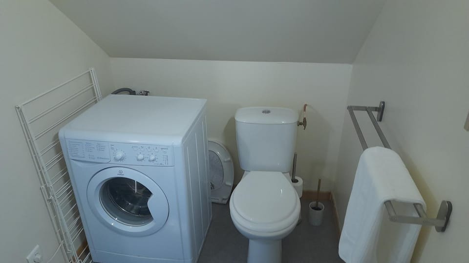 Toilet, Bathroom, washing machine