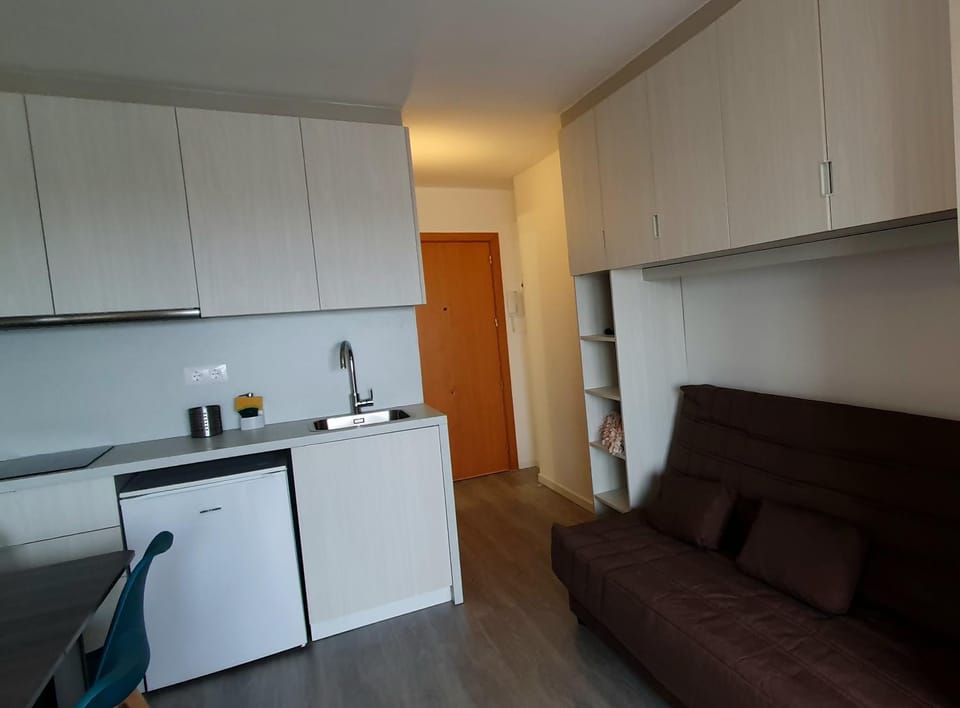 Kitchen or kitchenette, kitchen