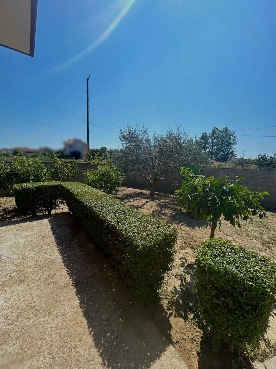 Garden view