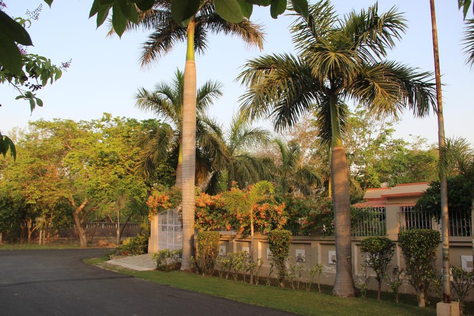 Quiet street view