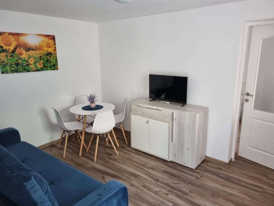 Apartament 2 camere la curte cu foisor Apartment in Constanta