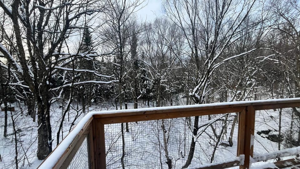 Les Refuges Perchés Mont-Tremblant House in Ontario