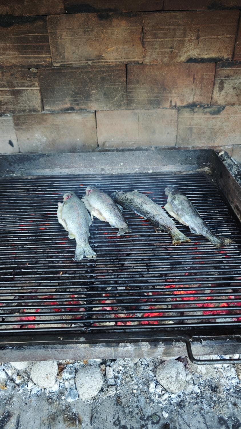BBQ facilities