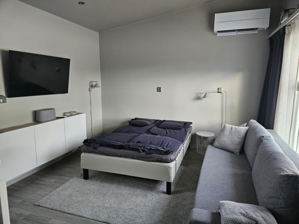 Bed, TV and multimedia, Living room, air conditioner