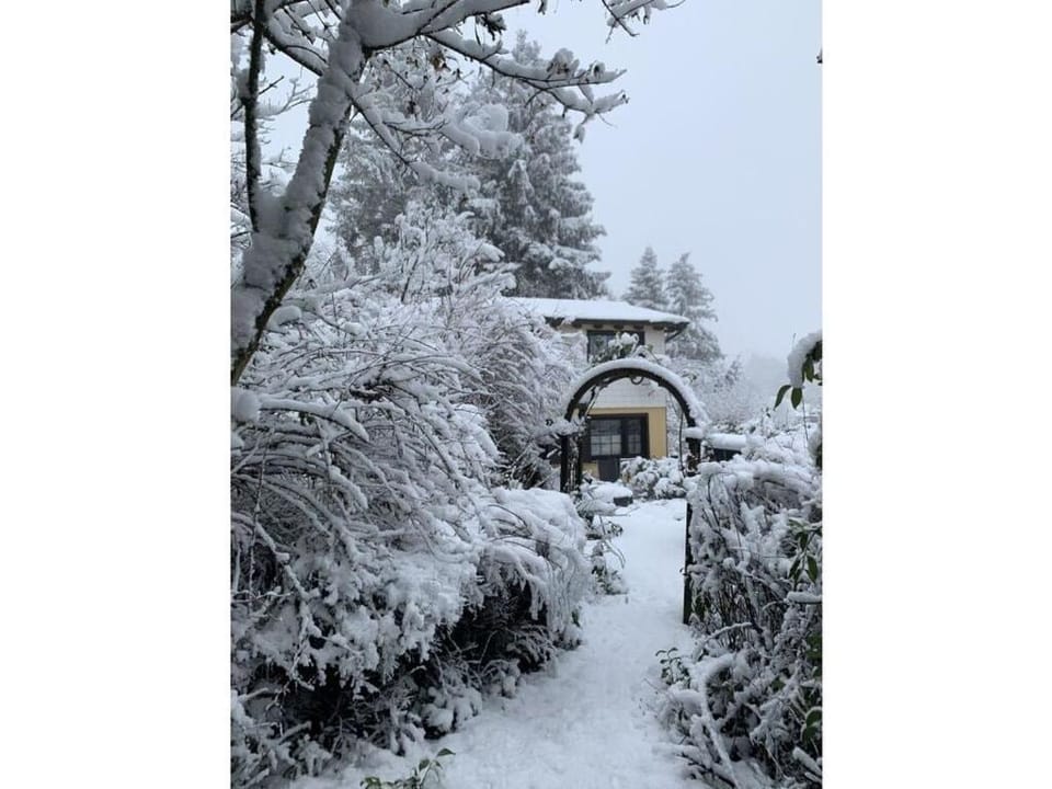 Property building, Other