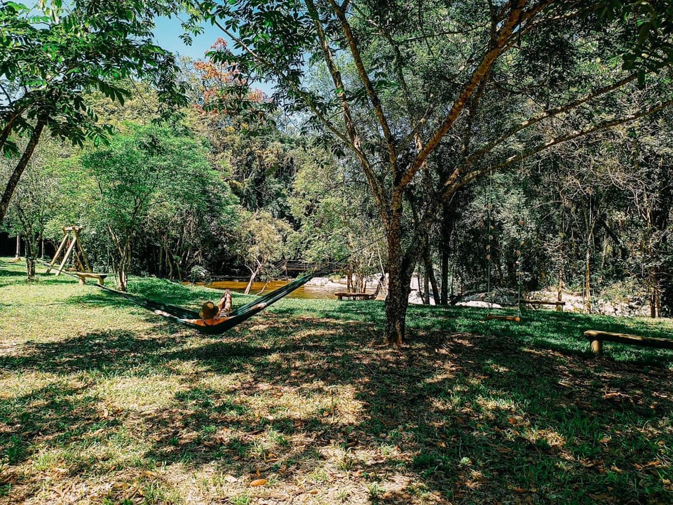 Natural landscape, Garden, Garden view, River view
