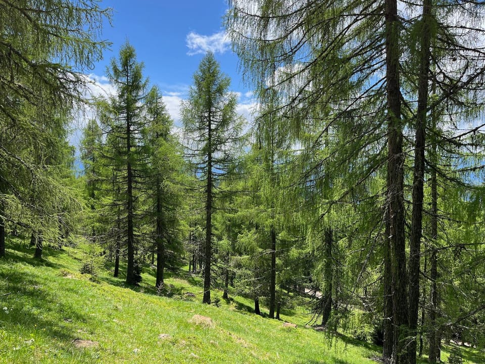 Natural landscape