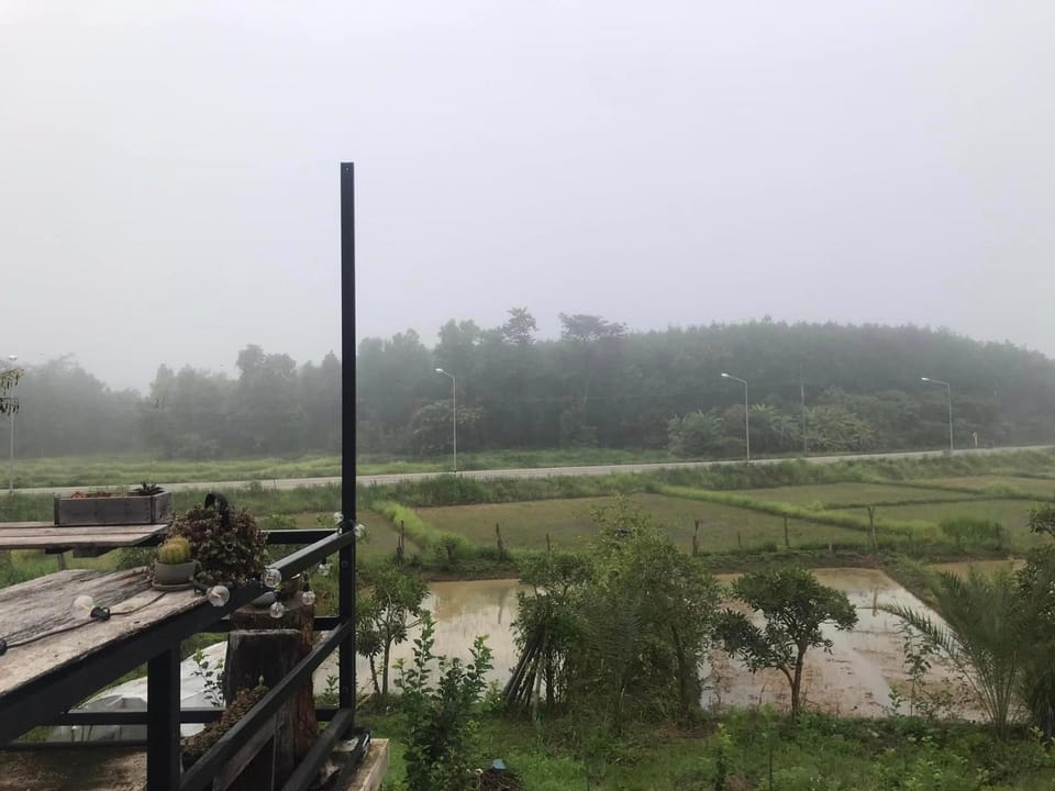 View (from property/room), Other, Street view, Quiet street view