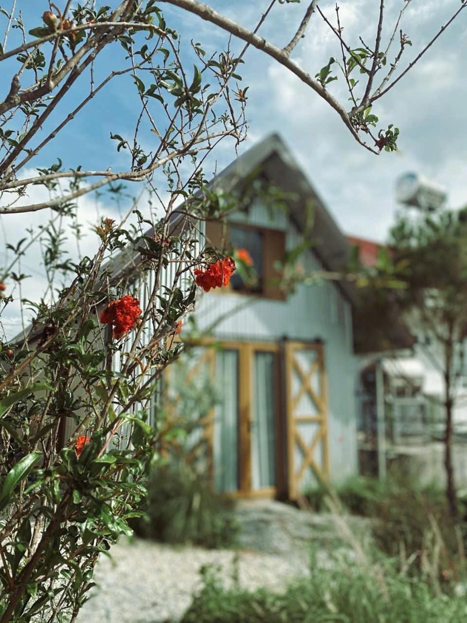 Property building, Garden