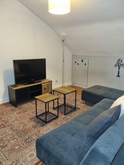 Appartement centre-ville (Chez Antoine) Apartment in Colmar