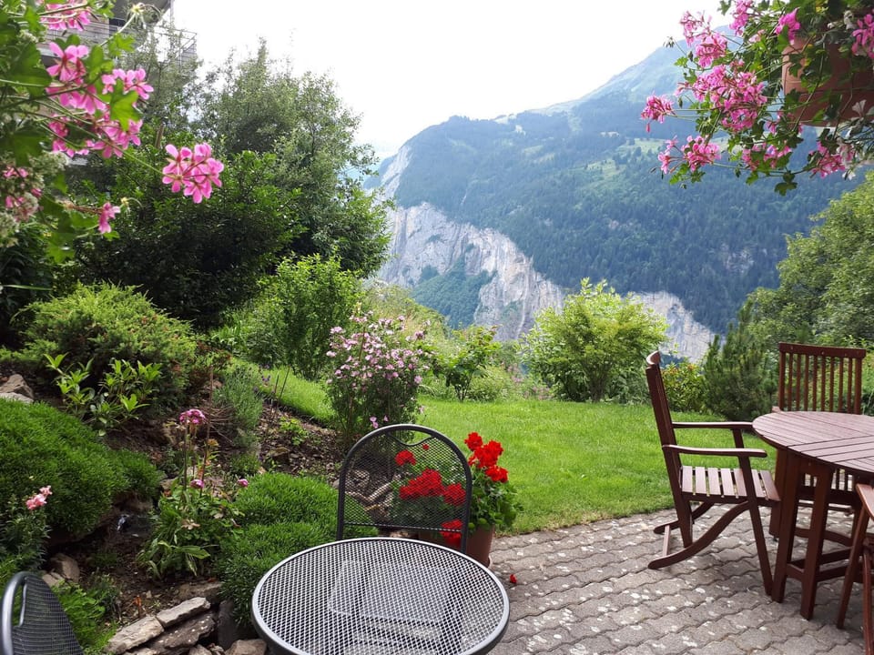 Patio, Garden, Garden view