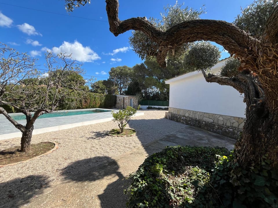 Garden, Garden view, Pool view, Swimming pool