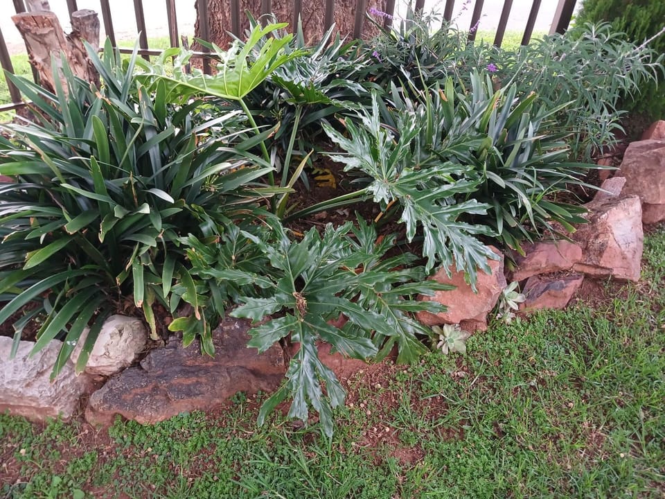 Golden Glory Manor Bed and Breakfast in Roodepoort