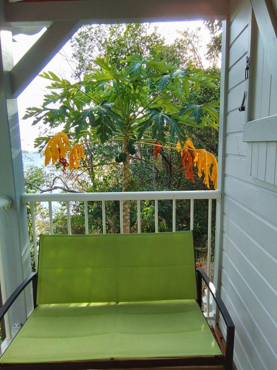 Patio, View (from property/room)
