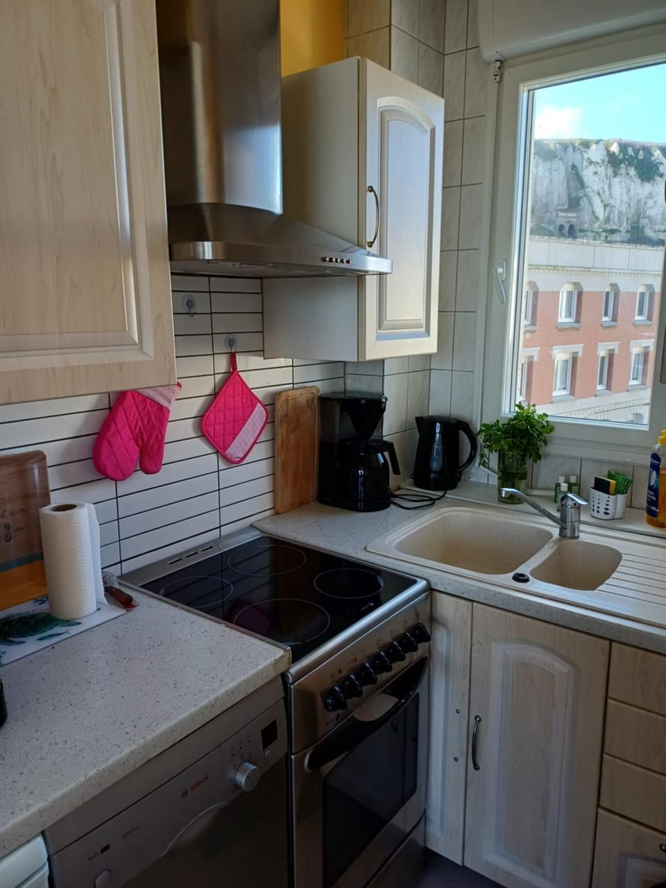 Coffee/tea facilities, Landmark view, dishwasher, minibar, pet friendly, stove