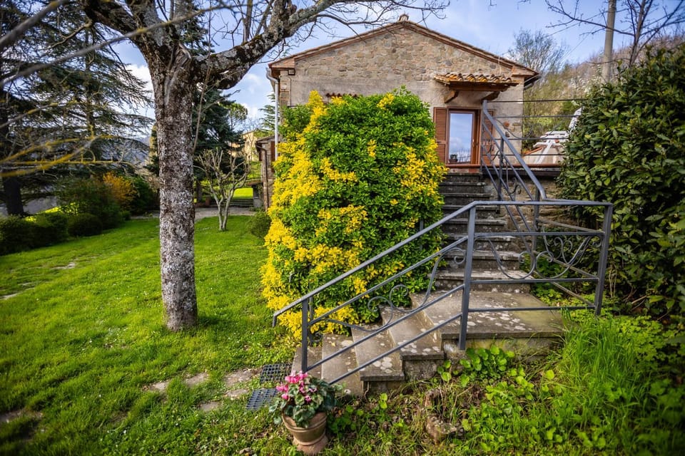 Garden, Balcony/Terrace